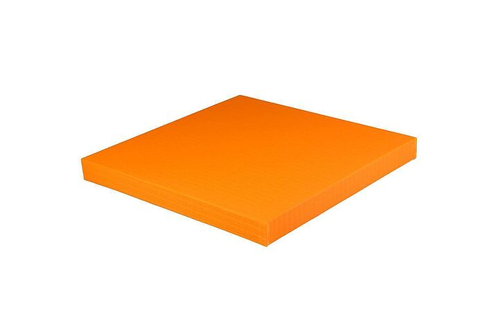 REGUPOL tatami heavyweight REGUPOL tatami heavyweight