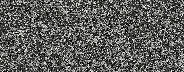 Ultimate Ottawa [1269]