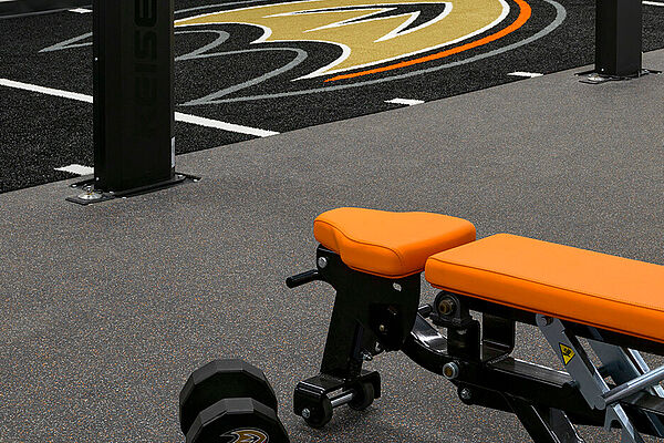 Anaheim Ducks