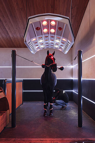 Horse therapy and treatment area with infrared heat lamp and slip-resistant REGUPOL equestrian flooring – shock-absorbing, safe flooring for grooming, rehabilitation and treatment zones in horse stables