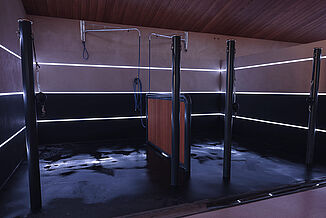 Modern horse wash bay with slip-resistant REGUPOL equestrian flooring – water-resistant, shock-absorbing flooring for safe washing and grooming areas in horse stables