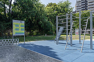 Calisthenics training equipment at Rudolf-Hoffmann-Platz in Ludwigshafen am Rhein on blue REGUPOL playfix FX safety flooring