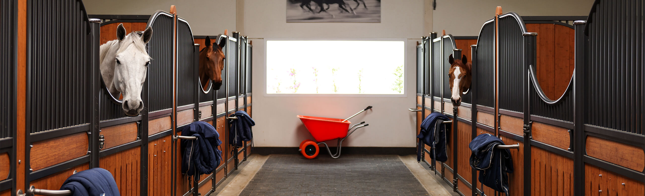 Horse stall mats made from REGUPOL. Stable with mats for the horse box