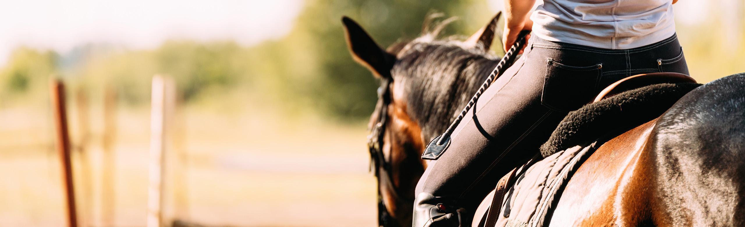 REGUPOL equiline equestrian flooring for horse walkers Rider with horse in a horse walker with REGUPOL equiline