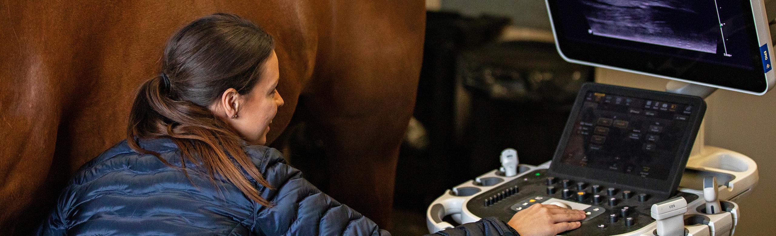 REGUPOL equiline vet - veterinary clinic flooring for safe and hygienic examination rooms Veterinary examination of a horse in a clinic equipped with REGUPOL equiline VET - hygienic and robust clinic flooring for horses